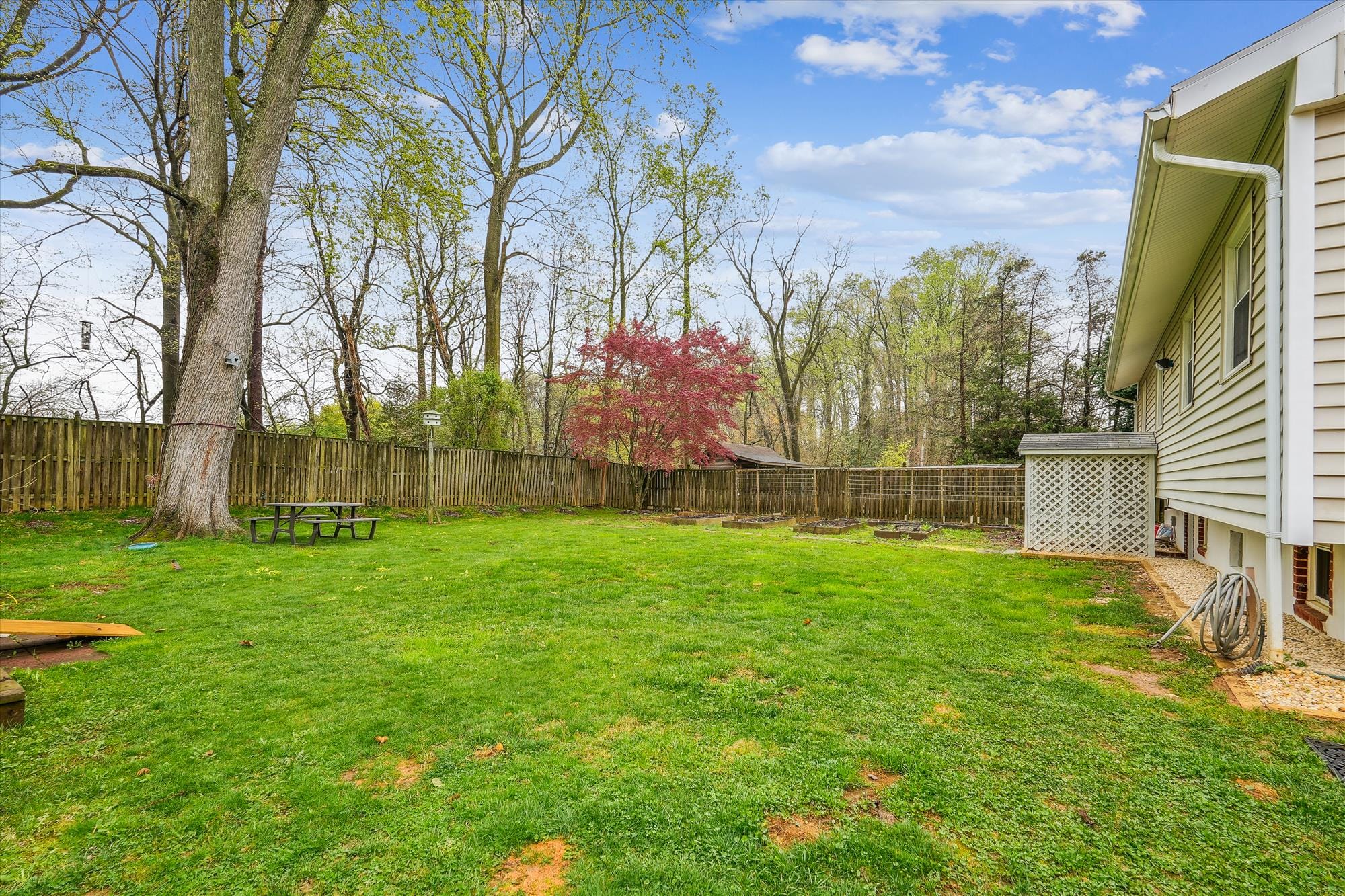 exterior-back yard-dsc06110