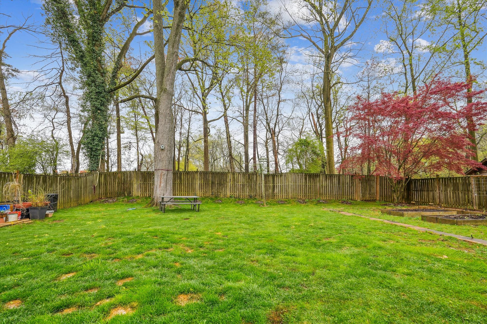 exterior-back yard-dsc06115